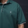 تیشرت جودون یقه دارBRESHKA رنگ سبزسایز7XL
