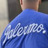تیشرت پنبه جلو-پشت گلدوزی PALERMOرنگ آبی سایز4XL